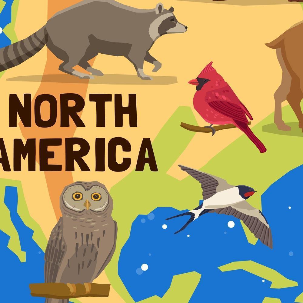 Kids World Map Canvas - Playroom Decor Wall Art - SharpWallArts