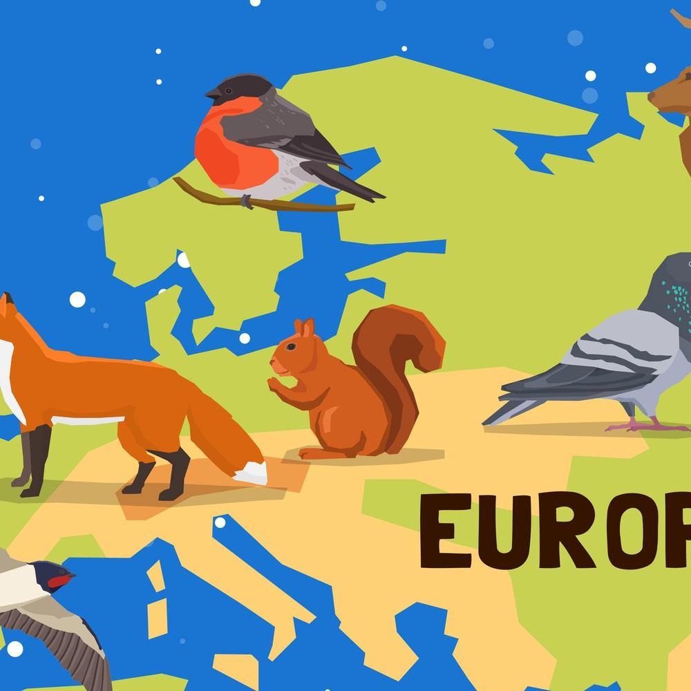 Kids World Map Canvas - Playroom Decor Wall Art - SharpWallArts