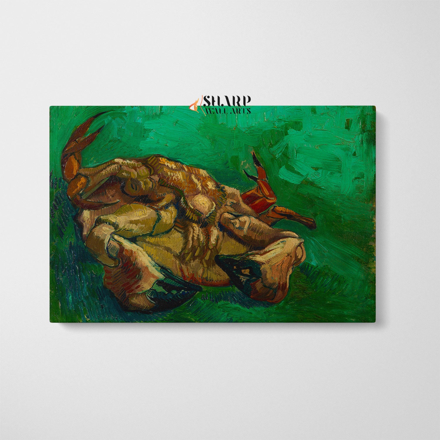 Vincent van Gogh A Crab On Its Back Canvas Wall Art