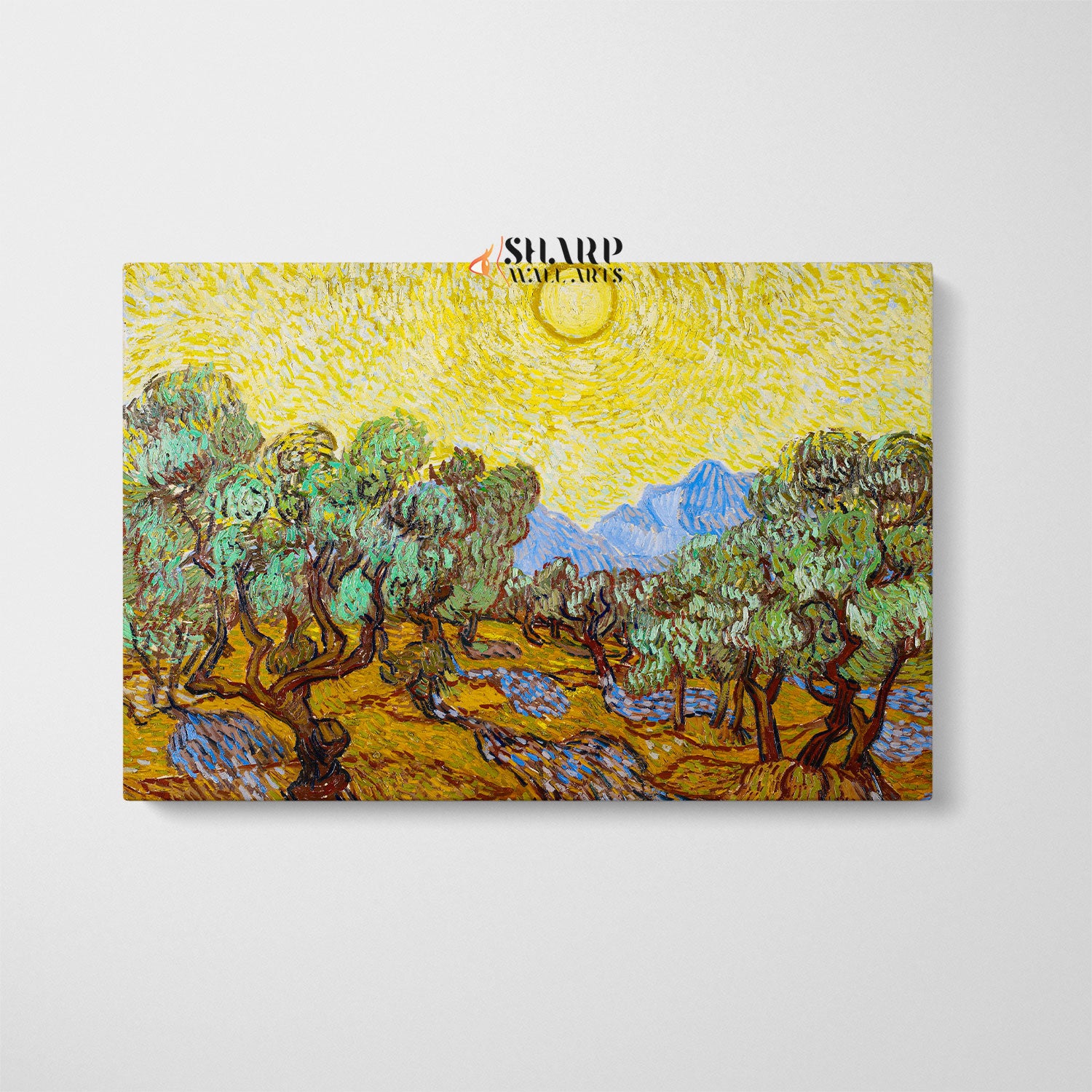 Vincent van Gogh The Olive Trees Saint Rémy Canvas Wall Art