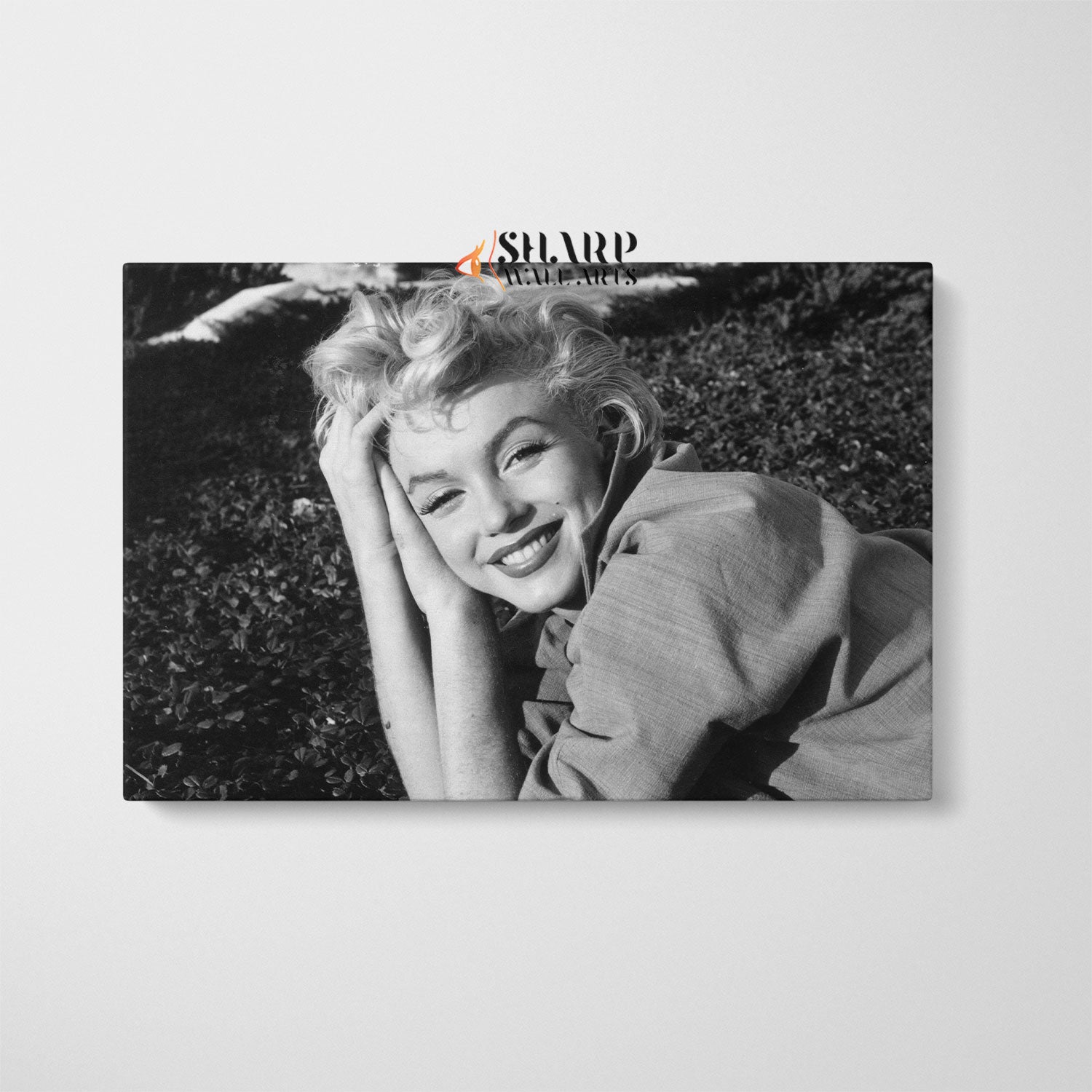 Marilyn Monroe Smile Wall Art Canvas