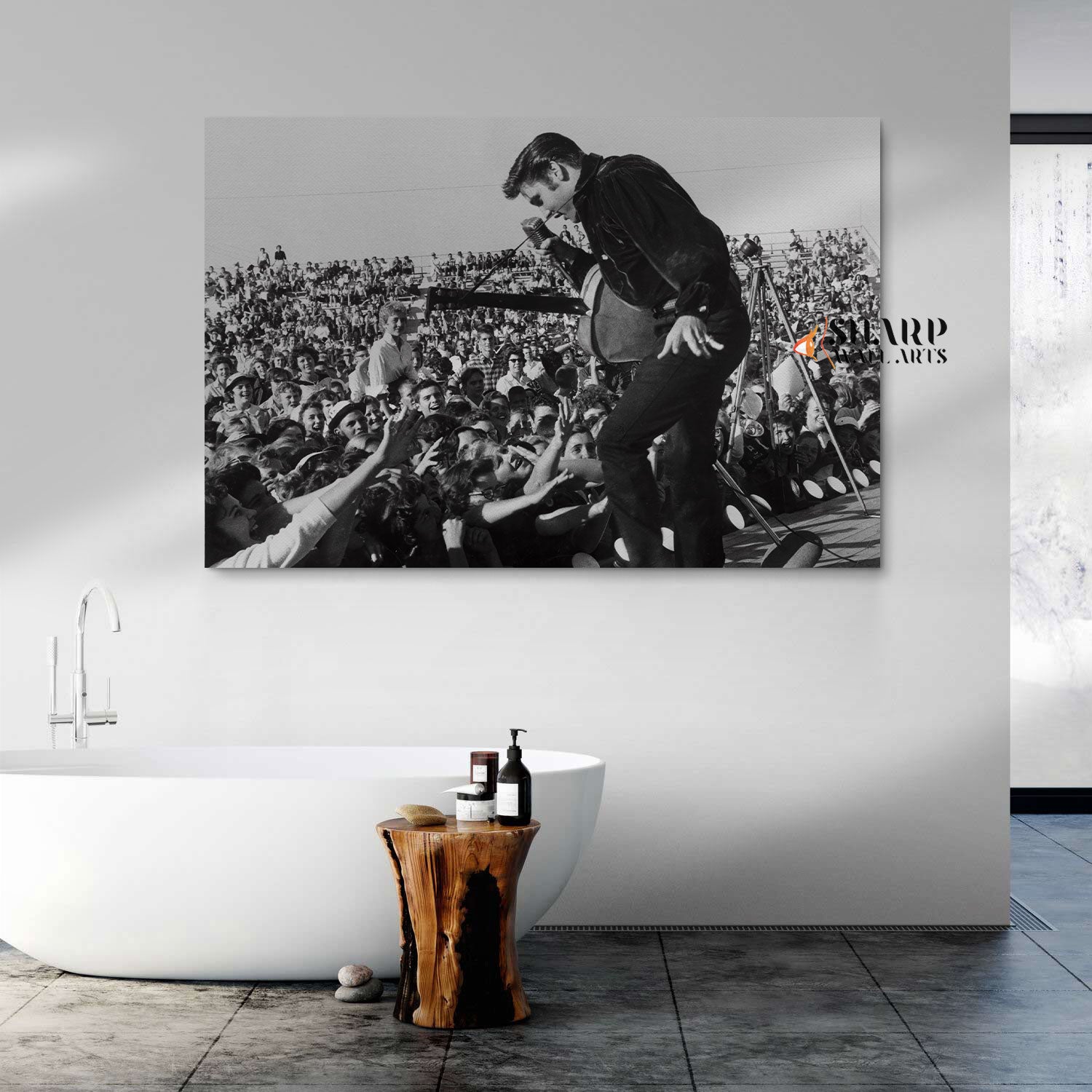 Elvis Presley Concert Wall Art Canvas