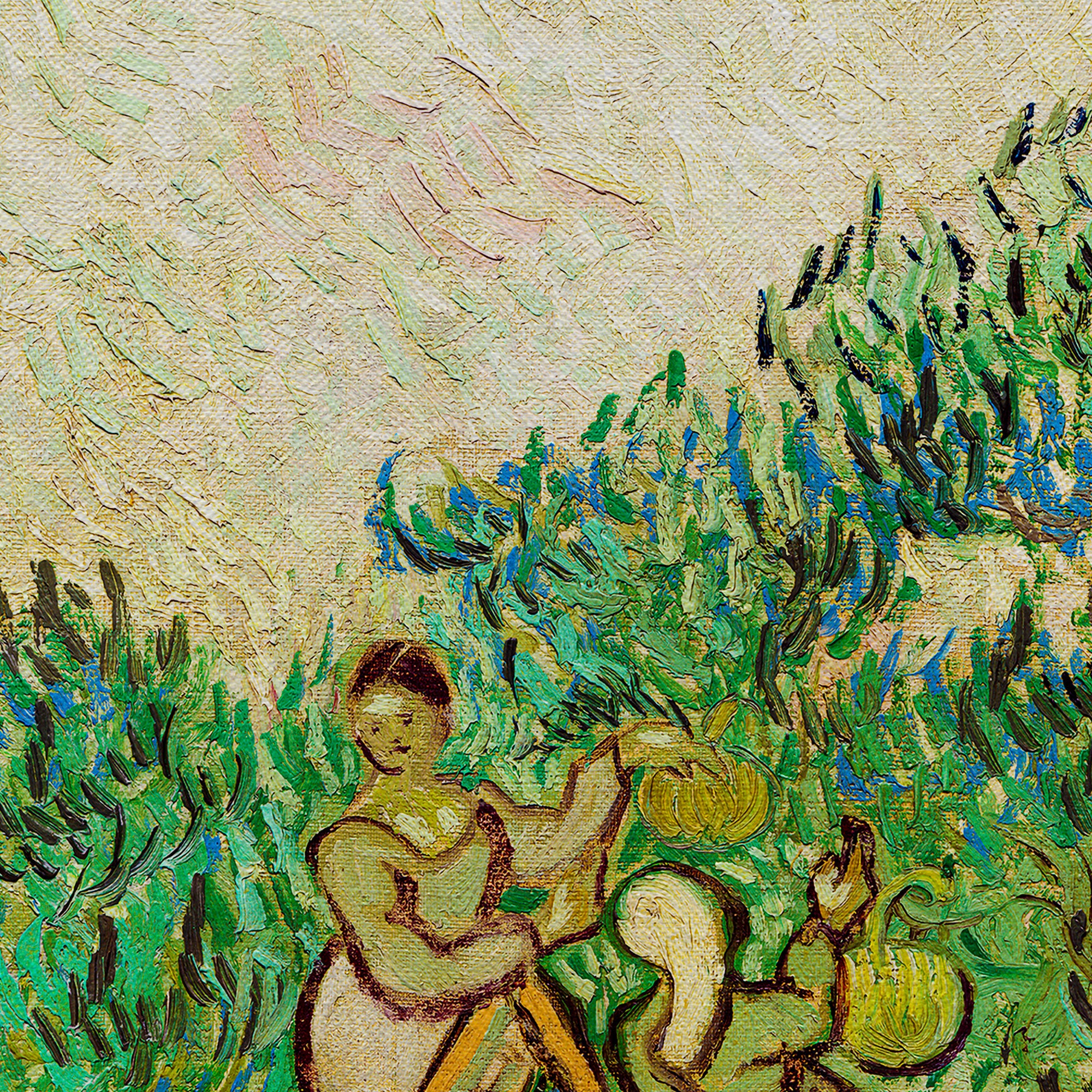 Vincent van Gogh Women Picking Olives Canvas Wall Art