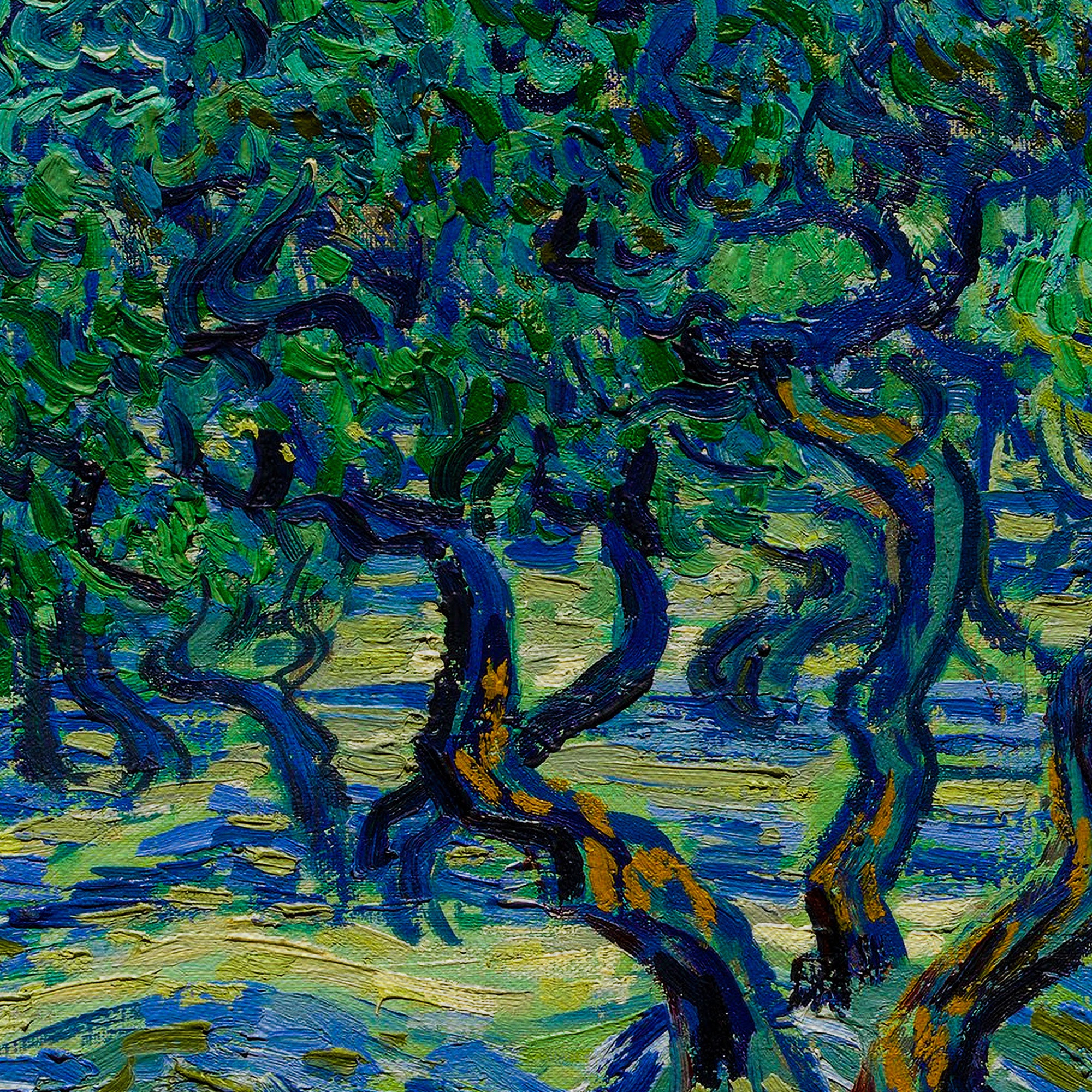 Vincent van Gogh Olive Trees Canvas Wall Art