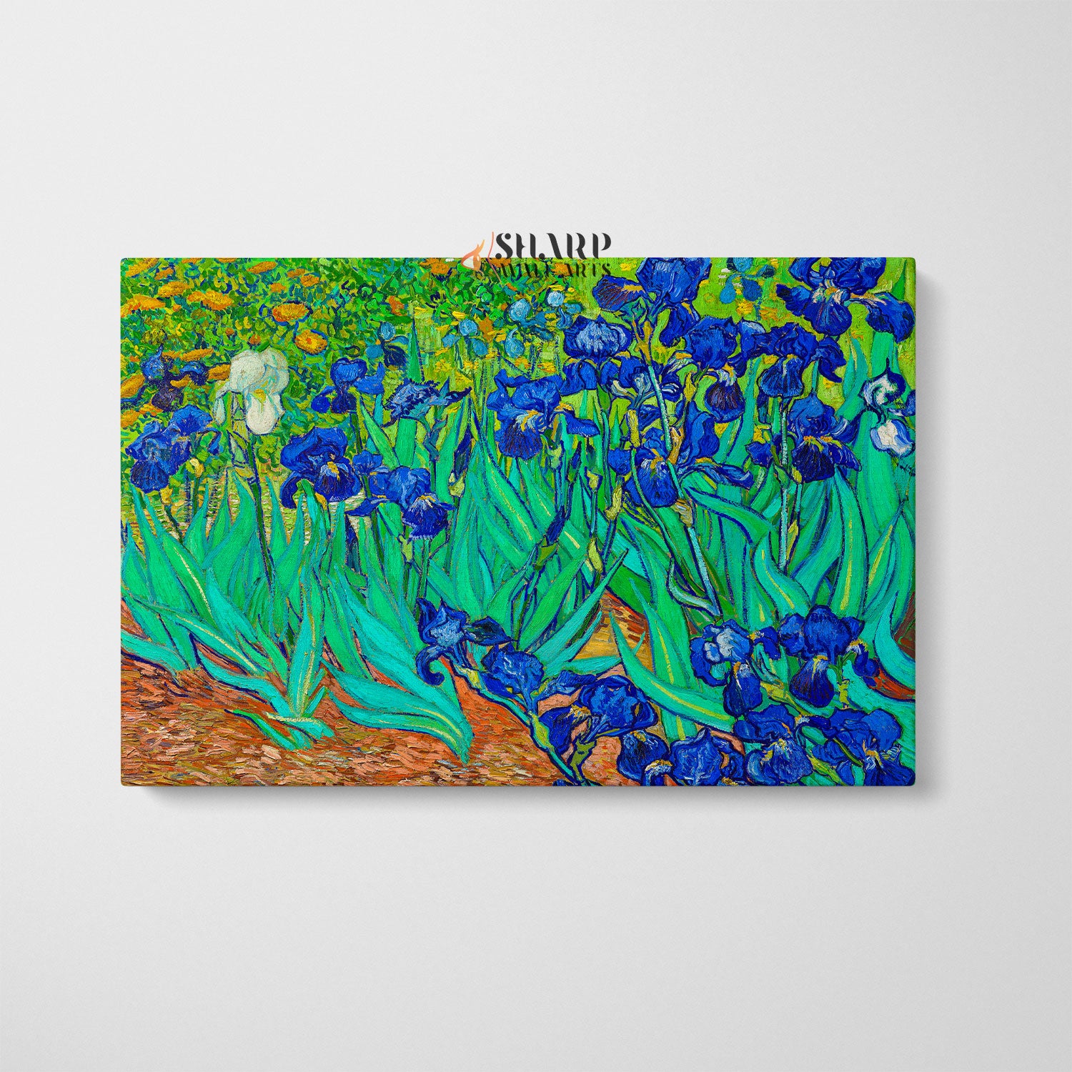 Vincent van Gogh Irises Canvas Wall Art