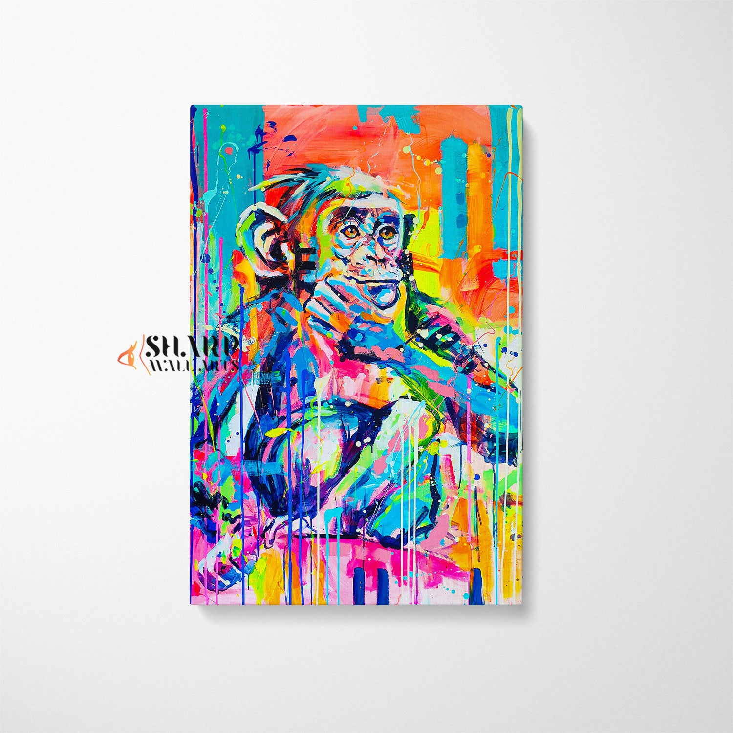 Thinking Monkey Colorful Canvas Wall Art