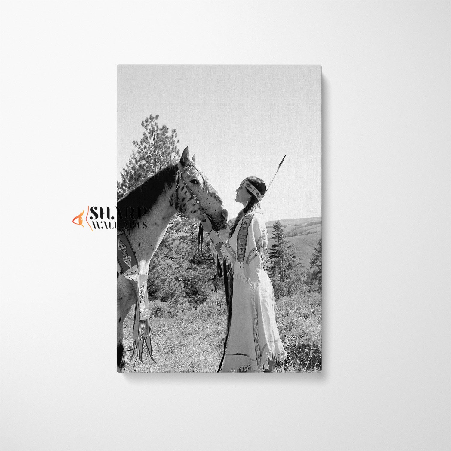Native American Woman With Horse Vintage Canvas Wall Art