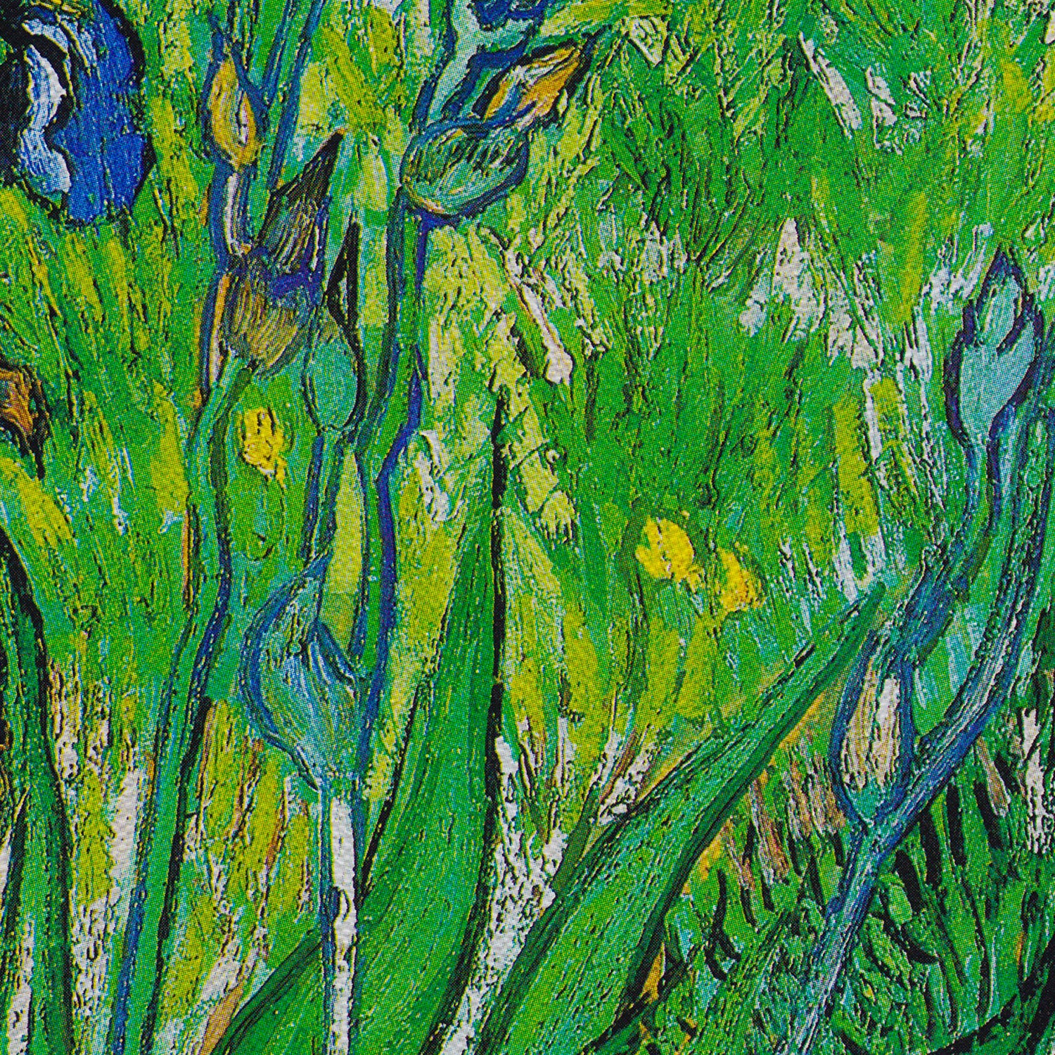 Vincent Van Gogh Iris Canvas Wall Art