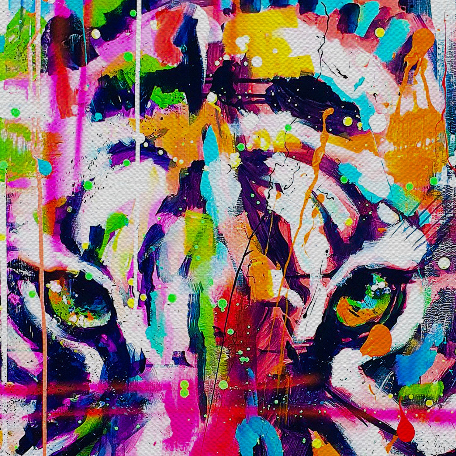 Colorful Tiger Graffiti Canvas Wall Art
